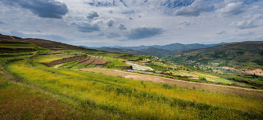 凯时|AG(AsiaGaming)优质运营商