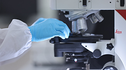 凯时|AG(AsiaGaming)优质运营商